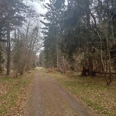 8 Person In Nykobing Sj * Rørvig